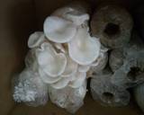 น้ำพริกเห็ดย่าง วิธีทำสูตร 1 รูป