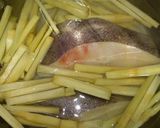 A picture of step 4 of Sichuan-Style Braised Fish with Sugarcane.