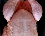 A picture of step 2 of My Sweet Chilli Marinated whole Chicken with Salad.