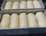 Foto langkah ke 11 dari resep 1 adonan 2 bentuk roti wool roll bread dan roti sobek.