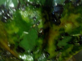 Rajas con crema