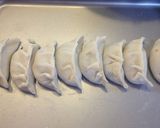 A picture of step 6 of Easy Homemade Gyoza Wrappers with a Bread Machine.