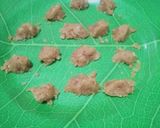 Foto langkah ke 3 dari resep Klepon Tepung Ketan Wangi Pandan.