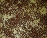 Foto langkah ke 5 dari resep Martabak maniez simple.