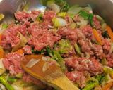 Foto del paso 3 de la receta: Chun kun de Ternera y Verduras