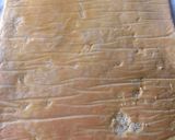 Foto del paso 10 de la receta: Jelly roll