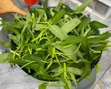 Foto langkah ke 1 dari resep Cah Kangkung Teri Medan.