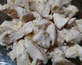 Foto langkah ke 1 dari resep Fillet Ayam crispy tabur bawang cabe garam.