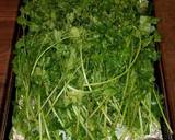 Mike's Oven Dried Herbs recipe step 5 photo