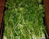 A picture of step 5 of Mike's Oven Dried Herbs.