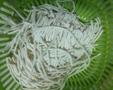 Hình bước làm 3 của món Bánh canh xương