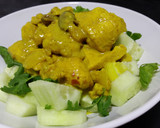 Foto del paso 5 de la receta: Pollo al curry light
