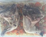 Foto del paso 4 de la receta: Muslos de pollo asados a la cerveza con zanahoria 
