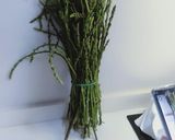 Foto del paso 1 de la receta: Como conservar los espárragos trigueros. Carmen de Jaén