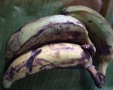 Foto langkah ke 1 dari resep Pisang yummy and sehat sucoju(susu,coklat,keju).