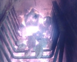 Foto del paso 1 de la receta: Asado a la parrilla de costillar de chancho al ajo asado