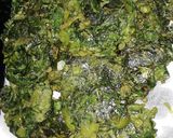 Foto del paso 6 de la receta: Torrejas de acelga