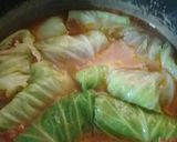 Foto del paso 4 de la receta: Niños envueltos de carne y repollo