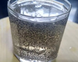 चिया सीड्स पानी (Chia seed Pani recipe in Hindi) रेसिपी चरण 3 फोटो