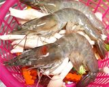 รูปขั้นตอนการทำที่ 2 ของ ผัดผักรวมกุ้งเห็ดโคนญี่ปุ่น