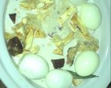 Foto langkah ke 2 dari resep Gudeg Ceker Slow Cooker #bikinramadanberkesan.