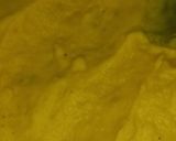 Foto del paso 4 de la receta: Pollo a la Olla con Puré