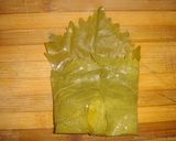 A picture of step 9 of Stuffed vine leaves rolls (Dolmeh).