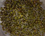 ફણગાવેલા મગનું સલાડ (Sprouts Moong salad recipe in Gujarat) રેસીપી સ્ટેપ3ફોટો