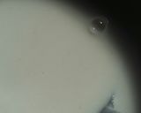 A picture of step 1 of Ghavne.