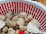 Bữa cơm gia đình