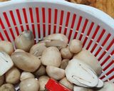 Hình bước làm 1 của món Bữa cơm gia đình