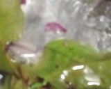 Foto langkah ke 2 dari resep Sayur bening bayam.
