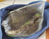 Foto del paso 2 de la receta: Enchiladas verdes cremosas