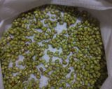 Foto langkah ke 3 dari resep Membuat toge sendiri dirumah 🌾.