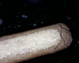 Foto del paso 4 de la receta: Tiramisú