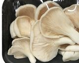 A picture of step 1 of Oyster Mushrooms Fritters.