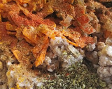 Foto del paso 2 de la receta: Medallones Vegetales de Cereal y Legumbre