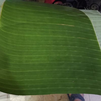 Langkah 4