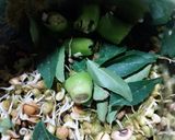 A picture of step 1 of Moong dal and sprouts Wrap.