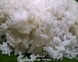 Foto langkah ke 5 dari resep 116. Ketan Urap Kelapa (original).