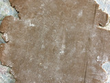Alfajores de cacao