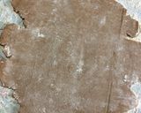 Foto del paso 4 de la receta: Alfajores de cacao