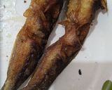Foto langkah ke 2 dari resep Ikan Lele Goreng Gurih, Mengundang Selera 😌🍚.