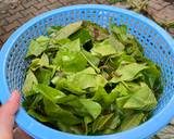 ใบเหลียงผัดไข่ วิธีทำสูตร 2 รูป