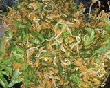 Foto langkah ke 7 dari resep Urap Sayuran.