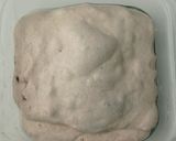 Foto langkah ke 7 dari resep Spekuk Craisin Sourdough Bread.