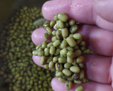 शाही साबुत मूंग दाल (Shahi sabut moong dal recipe in Hindi) रेसिपी चरण 1 फोटो