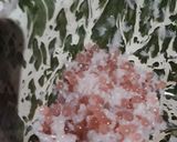Foto langkah ke 4 dari resep Mutiara Kelapa Kukus.