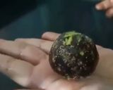 A picture of step 4 of Dates dry fruits rolls.