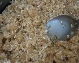 Foto del paso 2 de la receta: Arroz con especias y un toque de salsa😋